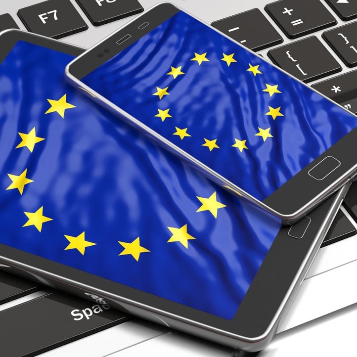 European Union Logo
