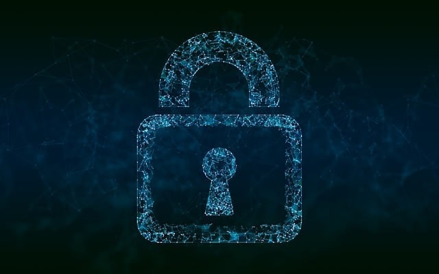 digitized lock image