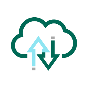 cloud delivered icon